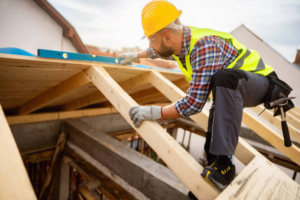 Roof Gutter Cleaning in Pimlico, SC