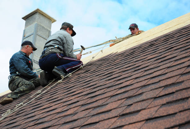 Quick and Trustworthy Emergency Roof Repair Services in Pimlico, SC